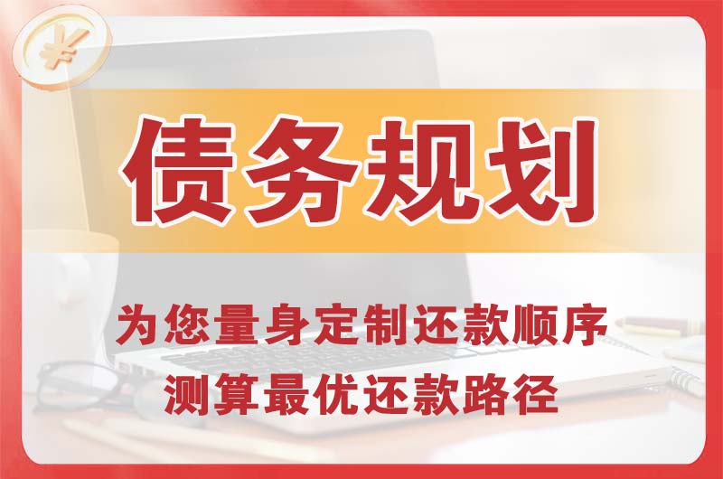 大邑债务规划